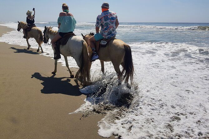 Boat Ride-Gentle Beach Beach Horseback Ride+Lunch-Crocs-Turtles - A Closer Look at the Experience