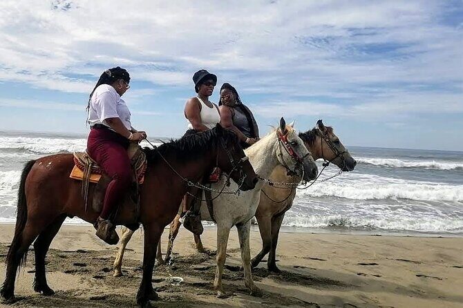 Boat Ride-Gentle Beach Beach Horseback Ride+Lunch-Crocs-Turtles - Who Should Consider This Tour?