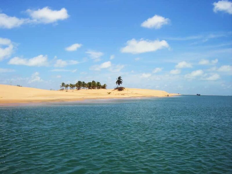 Boat ride: São Francisco River, the largest in Brazil - The Sum Up
