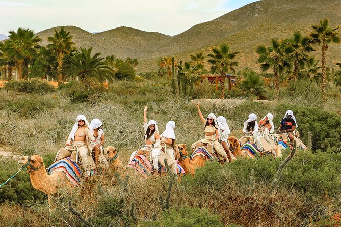 Boat Ride to the Arch and Beach Camel Ride in Cabo San Lucas Shared Tour - Authentic Experiences and Practical Insights