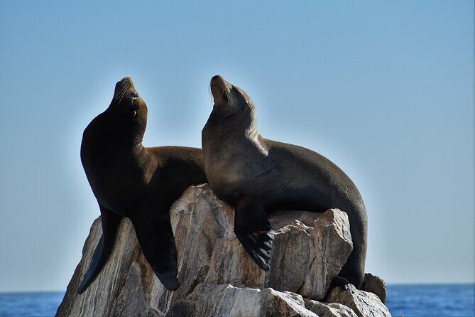 Boat ride to the Arch and Snorkel - What Makes This Tour Valuable?