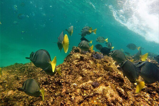 Boat ride to the Arch and Snorkel - What Could Be Better?