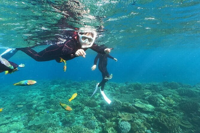 Boat Snorkeling Trip 1 Round Minna, Sesoko , Motobu Okinawa - Who Will Love This Tour?