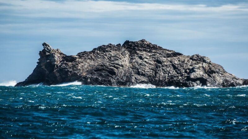 Boat through Cap de Creus and Port Lligat + Visit Cadaqués - Who Should Consider This Tour?