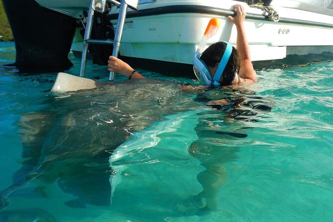 Boat tour 1/2 day Excursion in the lagoon of Moorea - FAQ