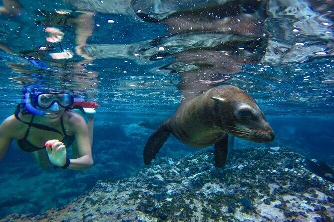 Boat Tour and Snorkel at Pelican Rock - Authenticity and Traveler Perspectives
