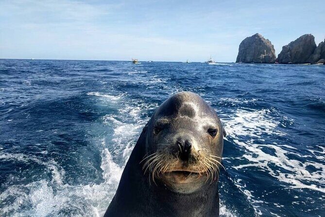 Boat Tour and Snorkel at Pelican Rock - Final Thoughts