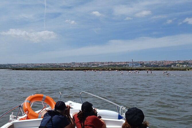 Boat Tour - Bird Observation in the Tejo Nature Reserve - FAQ
