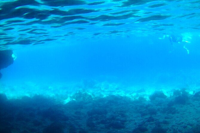 Boat tour Excursion from Trapani to Favignana and Levanzo 8 hours - The Value of This Experience