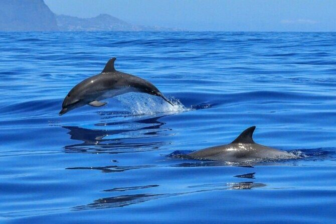 Boat tour Giardini Naxos Taormina Isola Bella Blue Grotto - Who Should Consider This Tour?