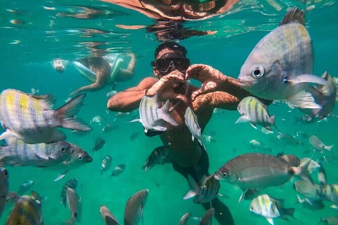 Boat Tour in Buzios with Lunch - Key Points