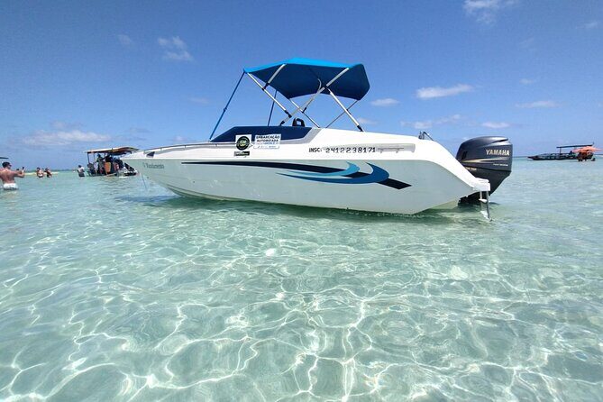 Boat Tour in Maragogi - Why It’s Worth It