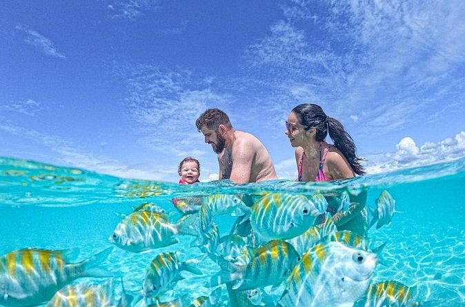 Boat Tour in Maragogi - FAQ