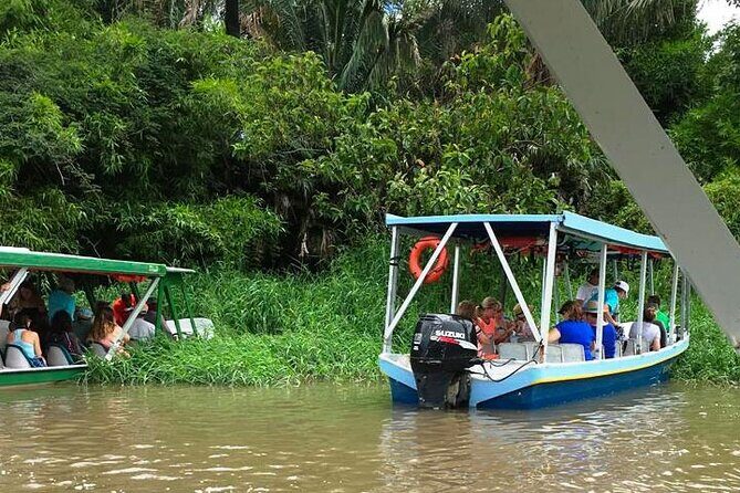 Boat Tour in Palo Verde River | Near Nicoya - Experience the Best of Costa Ricas Natural Beauty and Local Culture