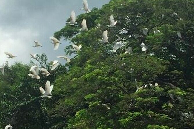 Boat Tour in Palo Verde River | Near Nicoya - Key Points