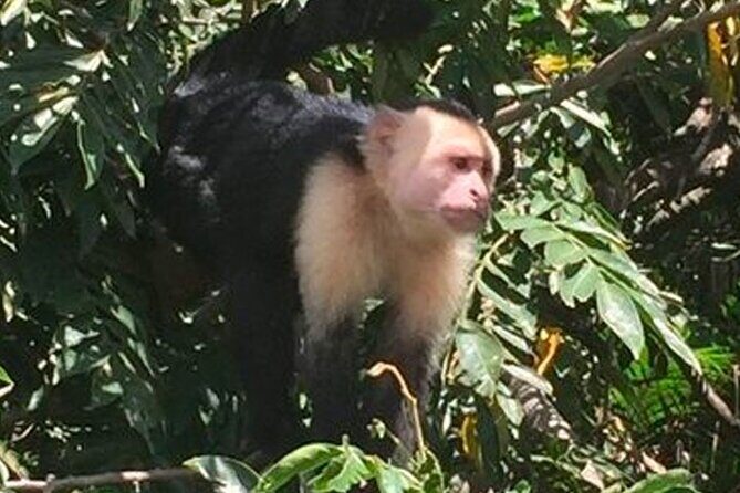 Boat Tour in Palo Verde River | Near Nicoya - Final Thoughts