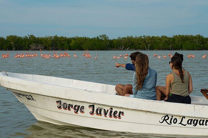 Boat tour in Río Lagartos Natural Reserve, with Food - Key Points