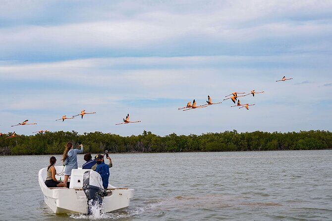 Boat tour in Río Lagartos Natural Reserve, with Food - Who Will Love This Tour?