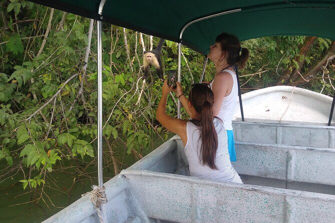 Boat tour in the Panama Canal to Monkeys and sloths islands - A Closer Look at the Panama Canal Wildlife Tour