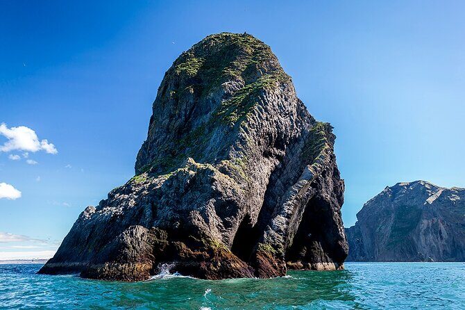 Boat Tour in Vestmannaeyjar - The Real Deal: A Closer Look at the Heimaey Boat Tour