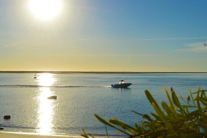 Boat Tour of 2 Ria Formosa Islands: Culatra and Armona - The Sum Up