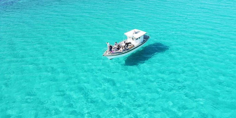 Boat tour of Asinara at sunset with aperitif on board - FAQs
