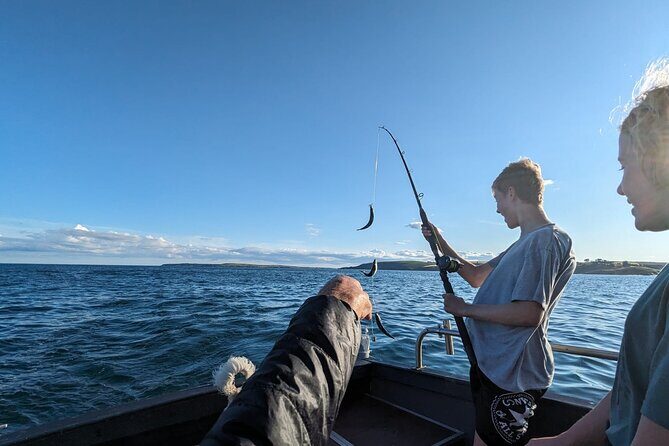 Boat Tour of Kinsale Harbour and Bandon River - Exploring the Waters of Kinsale: A Personal Boat Tour Experience