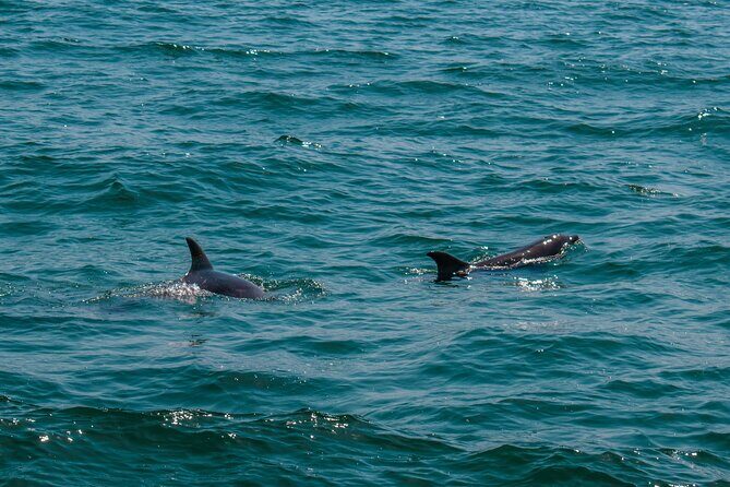 Boat Tour Snorkeling Tour with Guide, Drinks and Fruit - Who Will Love This Tour?