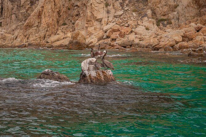 Boat Tour Snorkeling Tour with Guide, Drinks and Fruit - FAQs
