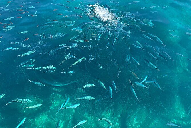 Boat Tour to Procida and Ischia, discover Private Secret Beaches - Why This Tour Is Worth It