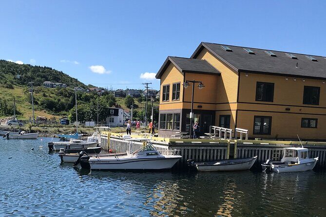 Boat Tours from Quidi Vidi Marina - Key Points