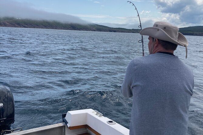 Boat Tours from Quidi Vidi Marina - Authentic Newfoundland Vibes