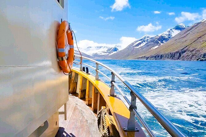 Boat Tours from Siglufjörður - A Closer Look at the Siglufjörður Boat Tour