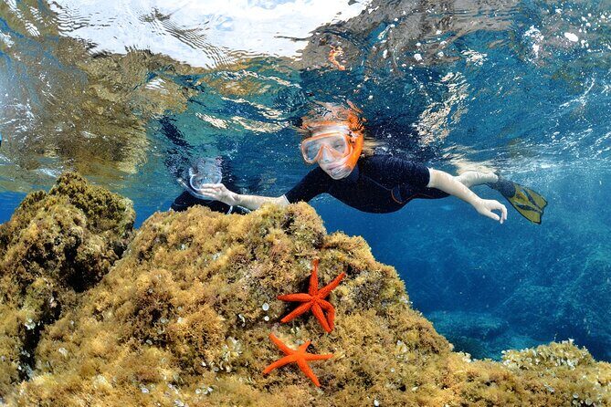Boat Trip and Snorkeling in the Gulf of Calvi - Experience the Beauty of Corsica with a Boat Trip and Snorkeling in the Gulf of Calvi