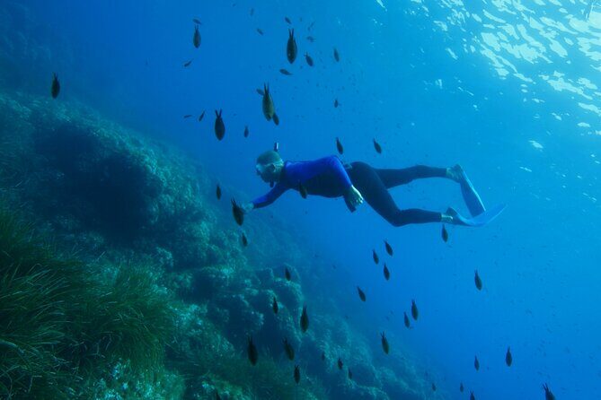 Boat trip and snorkeling in Villefranche - sur - Mer - A Deep Dive into the Experience