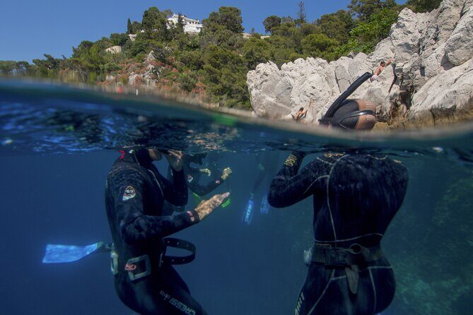 Boat trip and snorkeling in Villefranche - sur - Mer - FAQ
