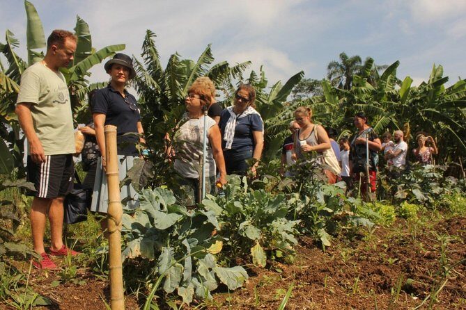 Boat Trip Billings Dam and Experience Bororé Island - Diving Deep Into the Journey: What to Expect and Why It Matters