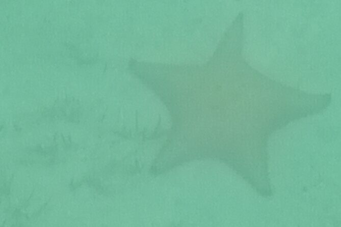 Boat trip EN 1/2 Day in the Grand Ass DE Sac Marin - Final Thoughts