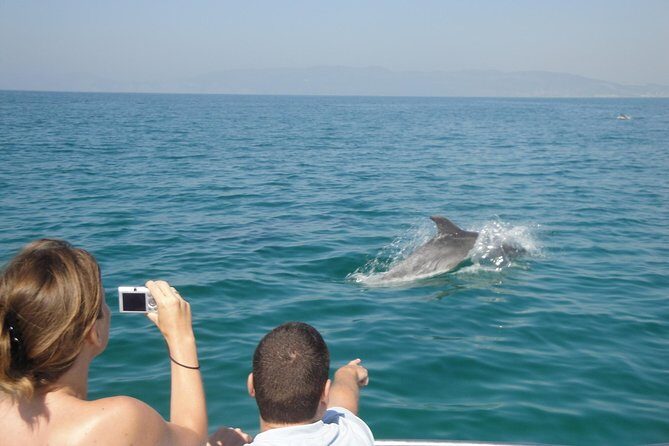 Boat Trip for Dolphin Watching along the Arrabida Coast and Sesimbra - Key Points