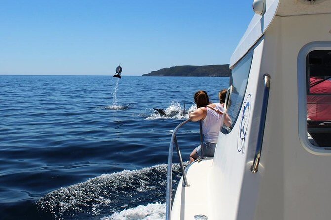 Boat Trip for Dolphin Watching along the Arrabida Coast and Sesimbra - Practical Details and Tips