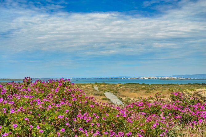 Boat trip from Faro to Ilha Deserta by Ferry - Key Points