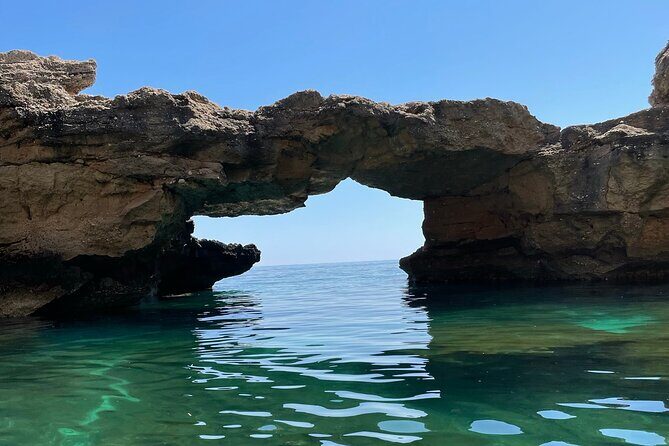 Boat Trip: Grotta del Fico, Cala Mariolu, Gabbiani & Biriala - Who Should Book This Tour?