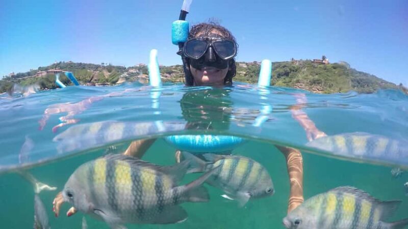 Boat Trip in Búzios - Who Will Enjoy This Tour