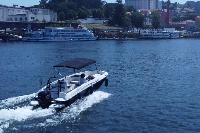 Boat Trip in Douro Porto - An In-Depth Look at the Porto Boat Trip Experience