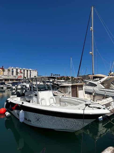 Boat trip on the Strait of Gibraltar - Who Will Love This Tour