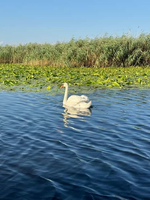 Boat Trip to Caraorman Forest  Danube Delta (5-6 hours) - Final Thoughts
