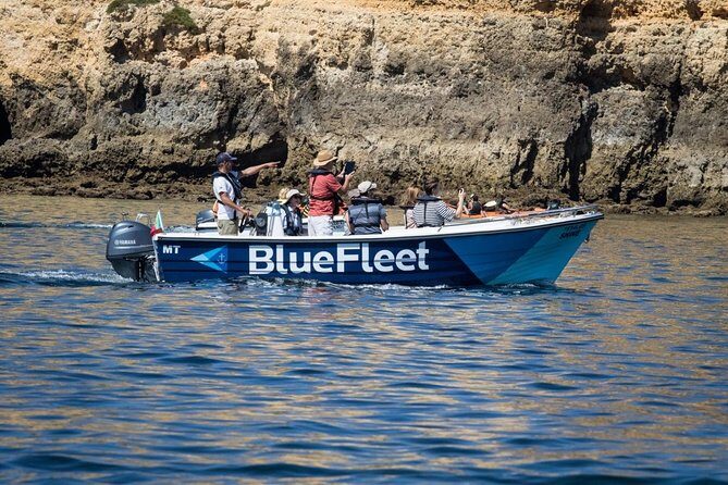 Boat Trip to Ponta da Piedade from Lagos - Is This Tour Right for You?