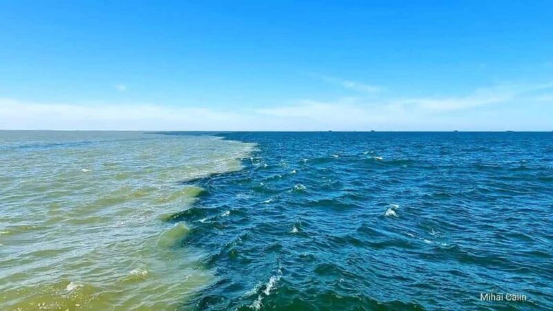 Boat trip to the Danube's mouth at the Black Sea - Final Thoughts: A Short but Sweet Encounter with Nature