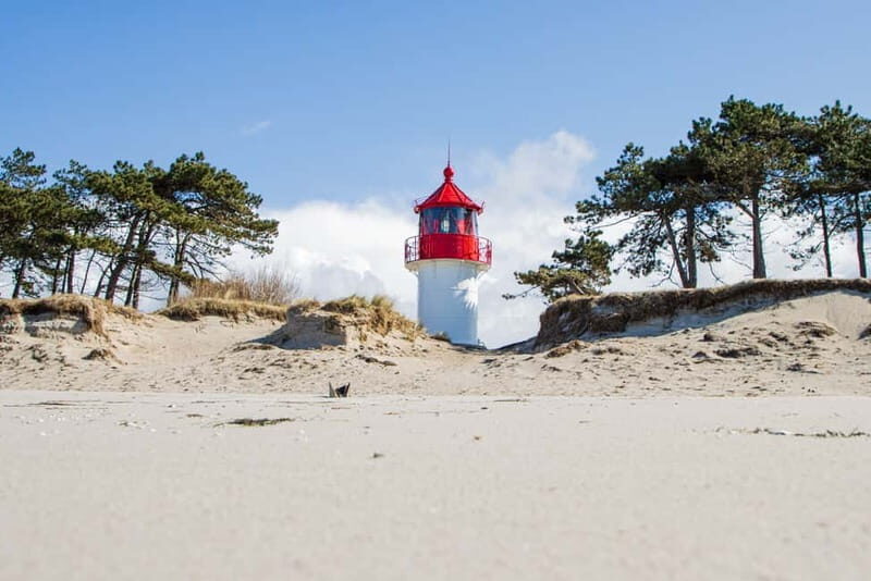 Boat trip to the Island of Hiddensee from Zingst - Who Will Love This Trip?