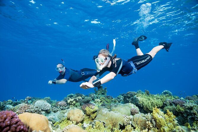 Boat Trip with Snorkel - A Detailed Look at the Snorkel Boat Trip Experience